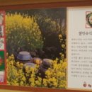 박경규항아리보쌈 이미지