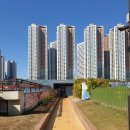 이삭애견훈련소 | 일산 이삭애견스쿨 훈련소 입소