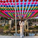 연등2길 이미지