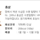 몸에좋은홍삼