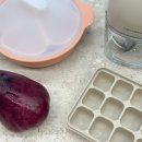 하얀손비트