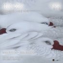 아트스페이스사이로 네이버블로그
