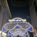 해운대동물약국 | 일기 - 넥스가드스펙트라, 사람 구충제, 포미 토마토주스, 행화촌, 보일러