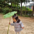 토란어린이집 이미지