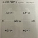 썬데이핑퐁클럽 | 이사가는 날, 아산/천안 불당동/신부동 카페&맛집 후기, 광장시장과 동대문 부자재 구경하기, 을지로...
