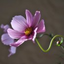 SH공인중개사사무소 이미지