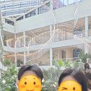 팔현로81 이미지