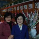 세경경로당 Daum카페