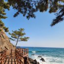 덕봉산 | 삼척 인스타 사진 맛집 덕봉산 해안생태탐방로