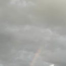 가마솥순대 이미지