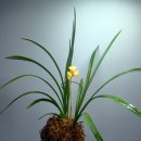 동진통신(주) 이미지