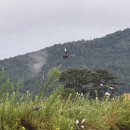 큐리농장 이미지