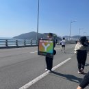 (주)더펫플레이스 | 2025 부산 마라톤 벤츠 기브앤레이스 광안리 8km 참가 후기
