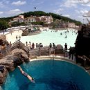 세모난나무 이미지