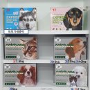 동의온누리약국 이미지