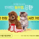 씨앤디 이미지