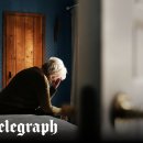 LOVELY DAY'S GROOMING 이미지