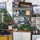 웃는돈지 국수가 이미지