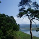 안동세월교 이미지