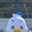 다옴피앤씨