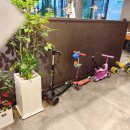 한마음정육식당(보라매점) | 대전 놀이방식당 "한마음정육식당" 탄방동 고기 맛집