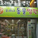 반석동물병원