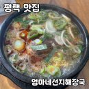 엄마네선지해장국 | 평택 브라이언 선지해장국 맛집 [엄마네선지해장국] 내돈내산 후기