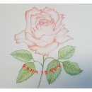 꽃그림 색연필화 이미지