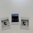 철이네 촌캉스 이미지