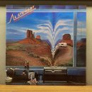 D.N.J. Inc(디앤제이) | 버블검 팝에서 신스팝까지 | 70-80년대 팝 록 LP 추천 20장 | 코디드바이닐즈