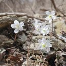 변산고을 이미지