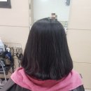 르미헤어 이미지