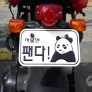 용석 Daum카페