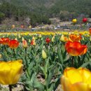 통영시 농업기술센터 이미지