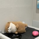 늘봄플란트치과의원 이미지