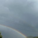 포항국제영화음악제 | 2025년 제천국제영화음악제 방문 후기 나들이 관람