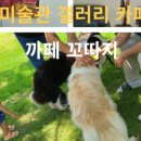 까페꼬따지