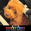 고봉로22길 네이버블로그