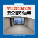 부산집청소업체 사하구 신평동 코오롱하늘채 이사청소 후기