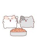 모다뷔페 네이버블로그