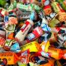 화이트래빗 | 상하이 토끼사탕 기념품 난징동루 쇼핑 필수템 화이트래빗 솔직 후기