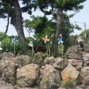 비욘드게스트하우스 이미지