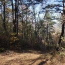 벌교KT앞 이미지