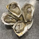 손바닥 글방. 시즌2 | [바위굴 내돈내산] 손바닥만 한 제철 바위굴 솔직 후기! 비린내 전혀 없을까?