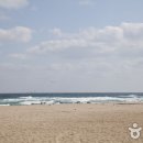 영덕군 관광안내소 이미지