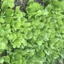 김재연농장 이미지