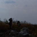 순천만여행 이미지