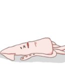 에이커Acre 이미지
