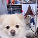 하단동174 이미지