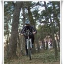 거북이주유소 이미지